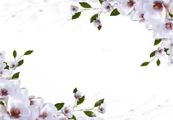 Photo effect from category Women's photo frames № 87722