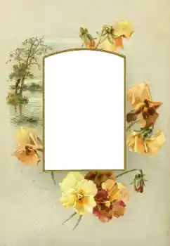 Photo effect from category Women's photo frames № 88073