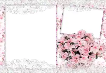 Photo effect from category Women's photo frames № 89229