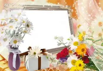 Photo effect from category Women's photo frames № 89424