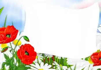 Photo effect from category Women's photo frames № 91714