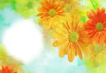 Photo effect from category Women's photo frames № 91723