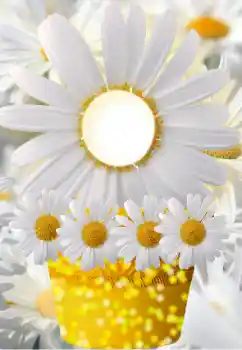 Photo effect from category Women's photo frames № 91798