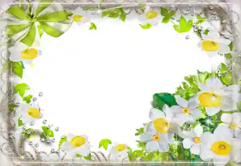 Photo effect from category Women's photo frames № 94724 Photo effect from category Women's photo frames № 94724