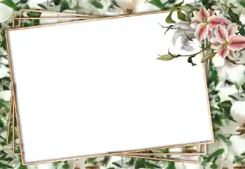 Photo effect from category Women's photo frames № 94751 Photo effect from category Women's photo frames № 94751