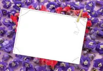 Photo effect from category Women's photo frames № 9481 Photo effect from category Women's photo frames № 9481