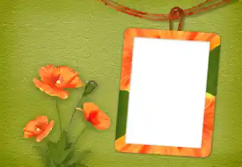 Photo effect from category Women's photo frames № 94833 Photo effect from category Women's photo frames № 94833