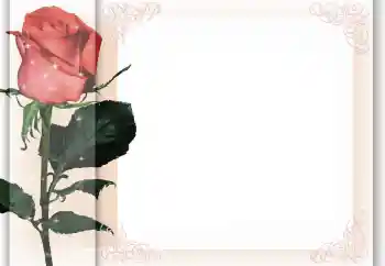 Photo effect from category Women's photo frames № 96405 Photo effect from category Women's photo frames № 96405