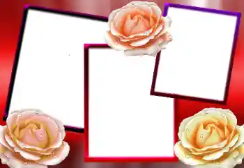 Photo effect from category Women's photo frames № 9712 Photo effect from category Women's photo frames № 9712