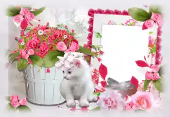 Photo effect from category Women's photo frames № 97470 Photo effect from category Women's photo frames № 97470