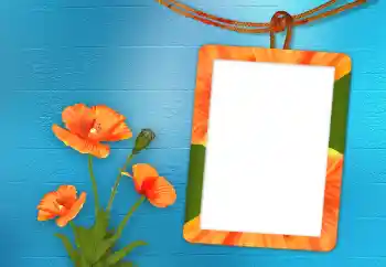 Photo effect from category Women's photo frames № 98705 Photo effect from category Women's photo frames № 98705