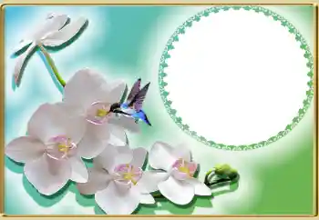 Photo effect from category Women's photo frames № 99814