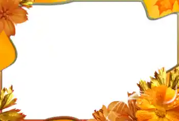 Photo effect from category Women's photo frames № 99971 Photo effect from category Women's photo frames № 99971